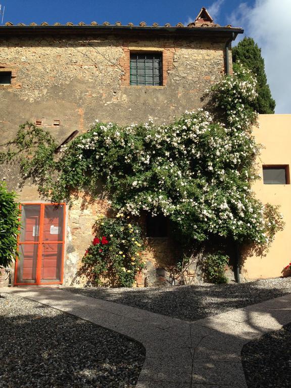Fattoria della Gioiosa - Agriturismo La Gelinda Affittacamere Casale Marittimo Esterno foto