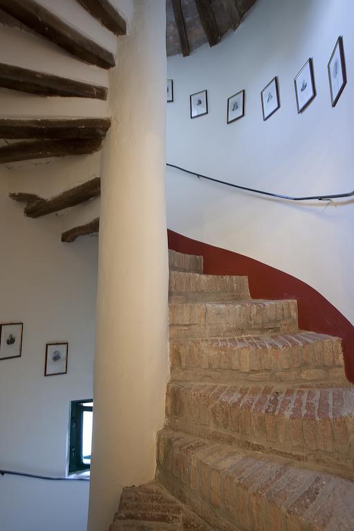 Fattoria della Gioiosa - Agriturismo La Gelinda Affittacamere Casale Marittimo Esterno foto